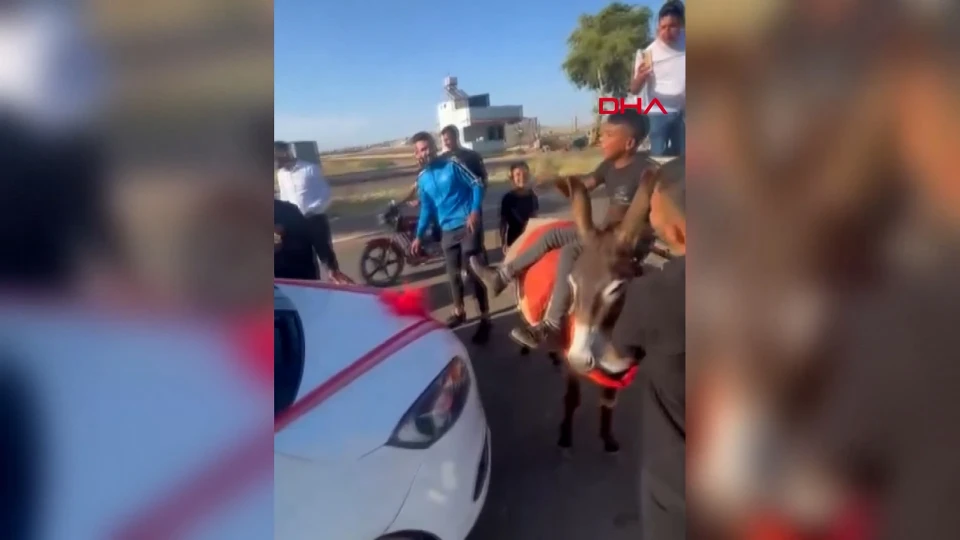 Reyhanlı’da Düğün Konvoyunu Eşekle Kestiler Damattan Bahşiş Aldılar
