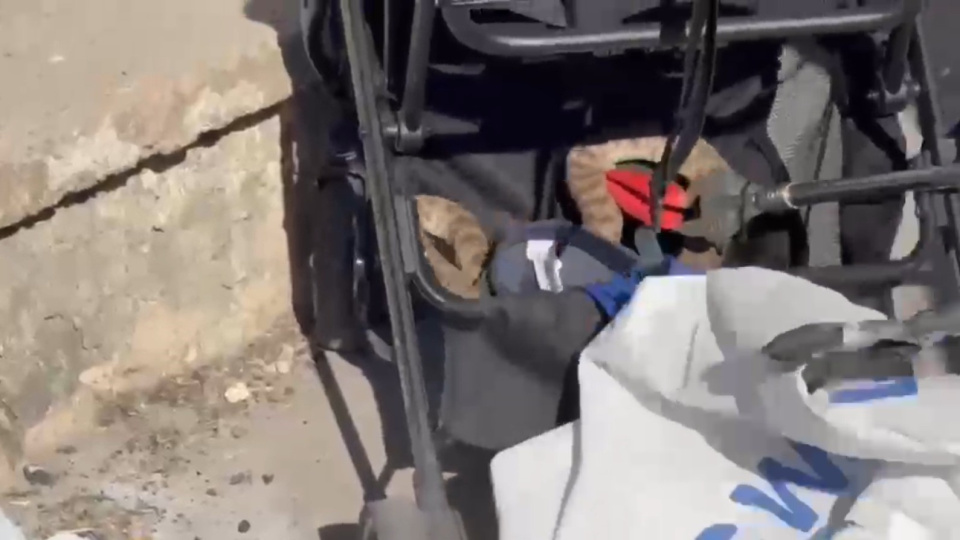 Şanlıurfa'da ağaçtan bebek arabasına düşen yılan itfaiye ekiplerince çıkarıldı