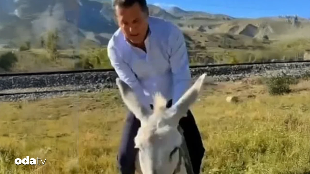 Mustafa Sarıgül'ün eşekle sınavı