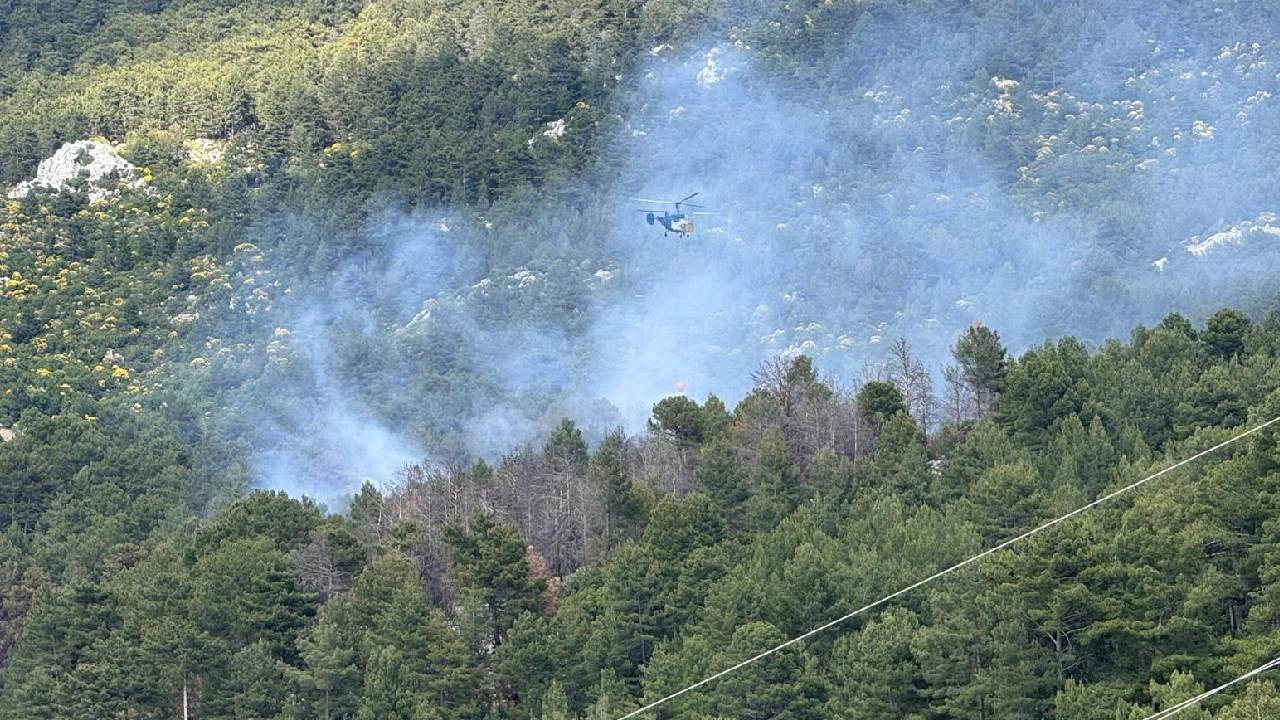 Kaş'ta orman yangını: Havadan ve karadan müdahale başlatıldı