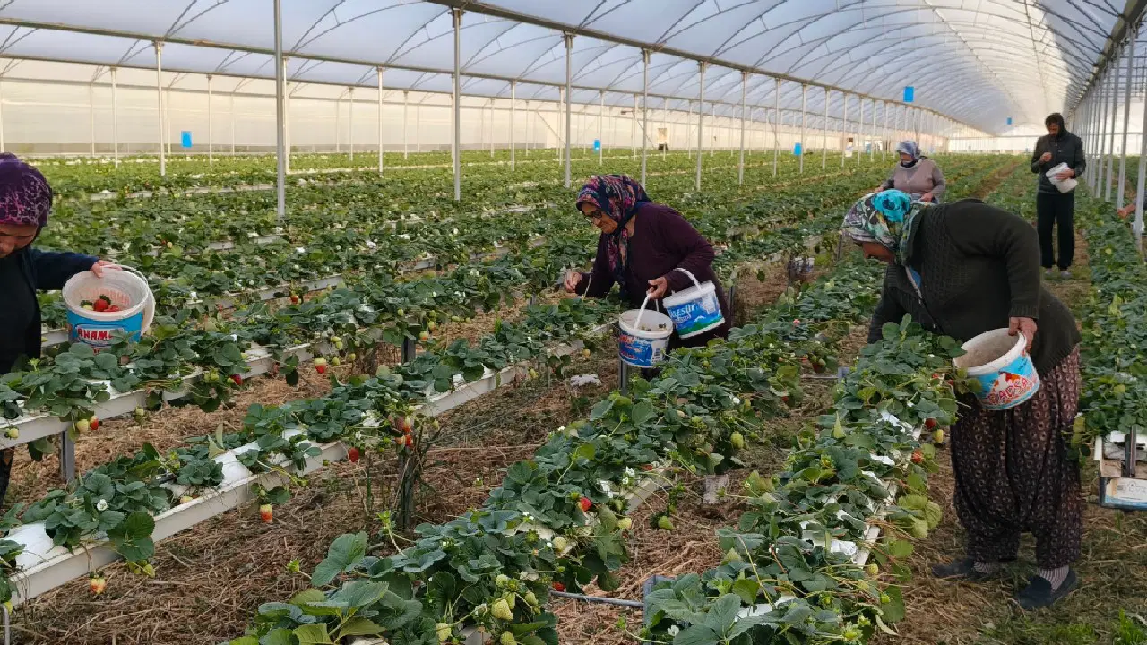 Eşini ikna etmek için seraya adını verdi: Şimdi taleplere yetişemiyorlar!