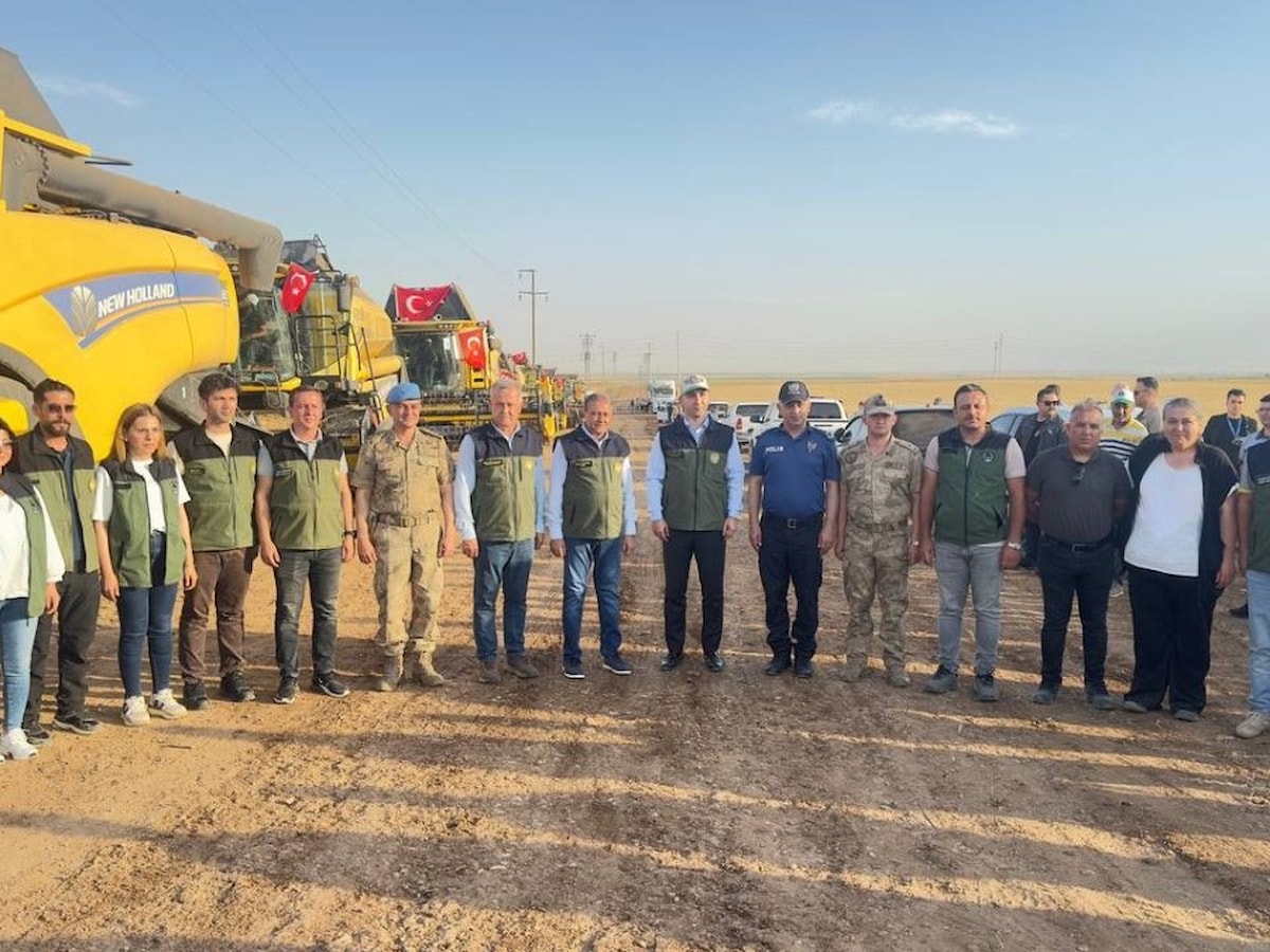 Şanlıurfa Ceylanpınar Tarım İşletmesi'nde biçerdöverler tarlalara girdi