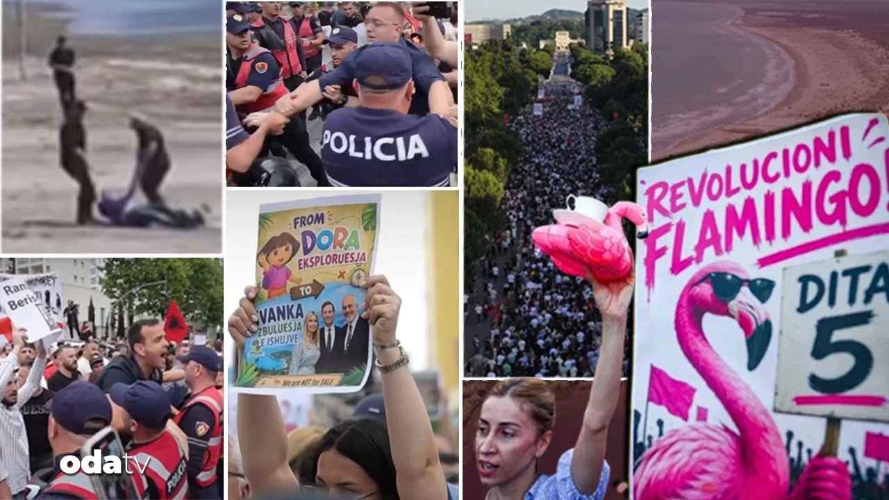 Arnavutluk'ta günlerdir süren protesto: 'Flamingo devrimi'... Trump'ın kızı ve damadına tepki