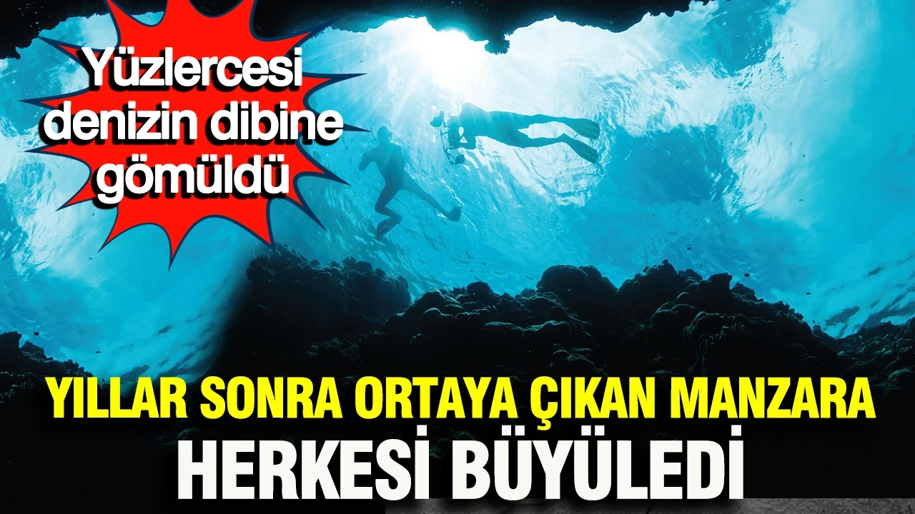 Denizin altında nefes kesen kareler: Heykeller mercan resiflerinin yuvası oldu
