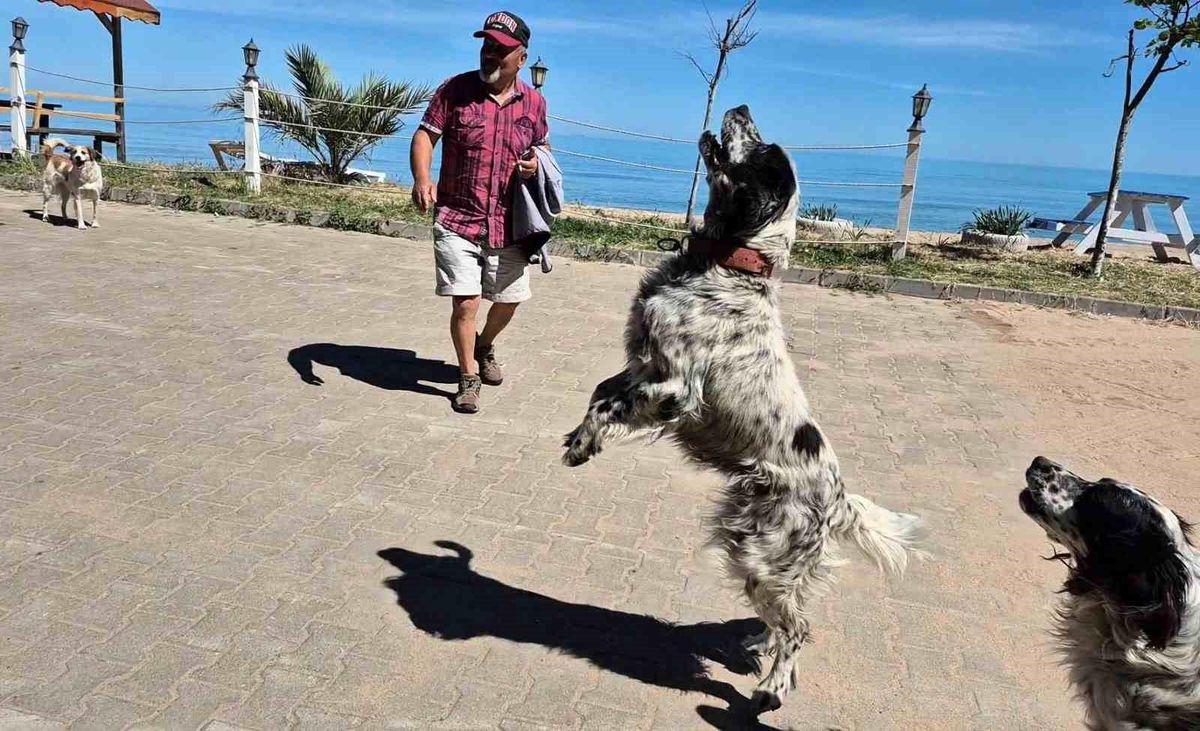 Bunlar da dronsavar köpekler