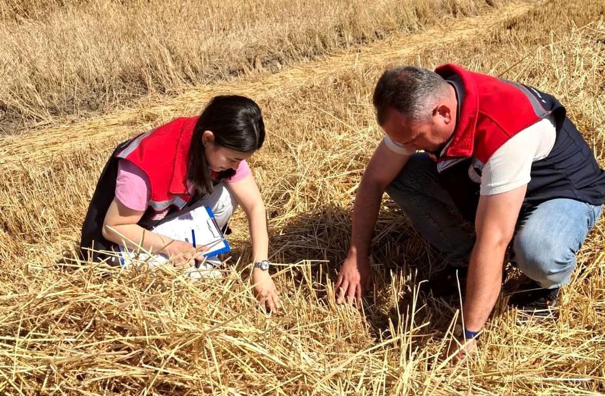 Hayrabolu'da biçerdöver denetimleri sürüyor