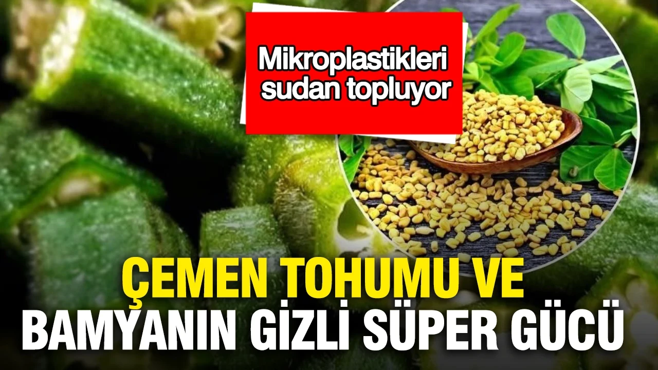 Çemen tohumu ve bamyanın gizli süper gücü: Mikroplastikleri sudan topluyor