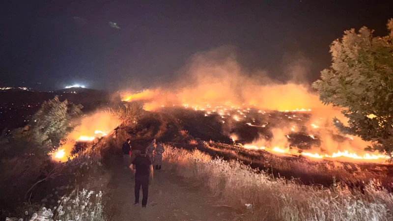 Hatay'da anız yangını: Zeytin bahçeleri zarar gördü