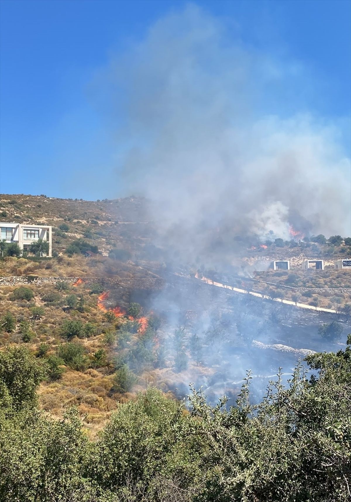 Bodrum'da makilik alanda çıkan yangın söndürüldü