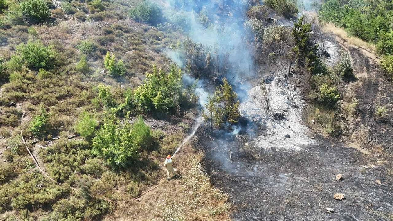 Son dakika | Adana'da orman yangını kabusu! Ekipler seferber oldu