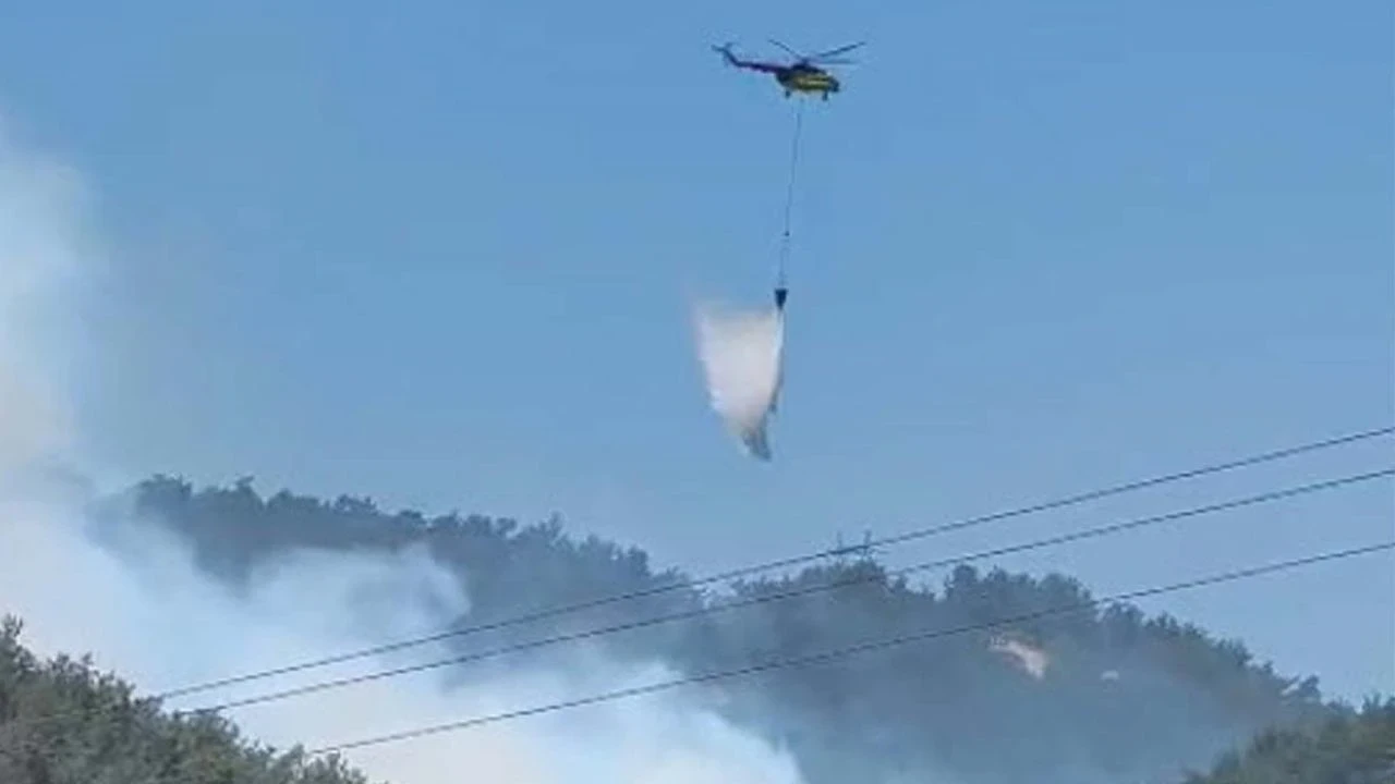 Manisa'da Orman Yangını: Havadan ve Karadan Müdahale Ediliyor