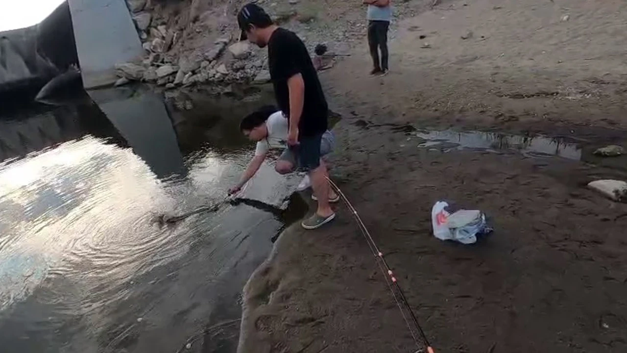 Meriç Nehri'nde oltaya takılan dev turna balığı 4 kişiyi peşinden sürükledi