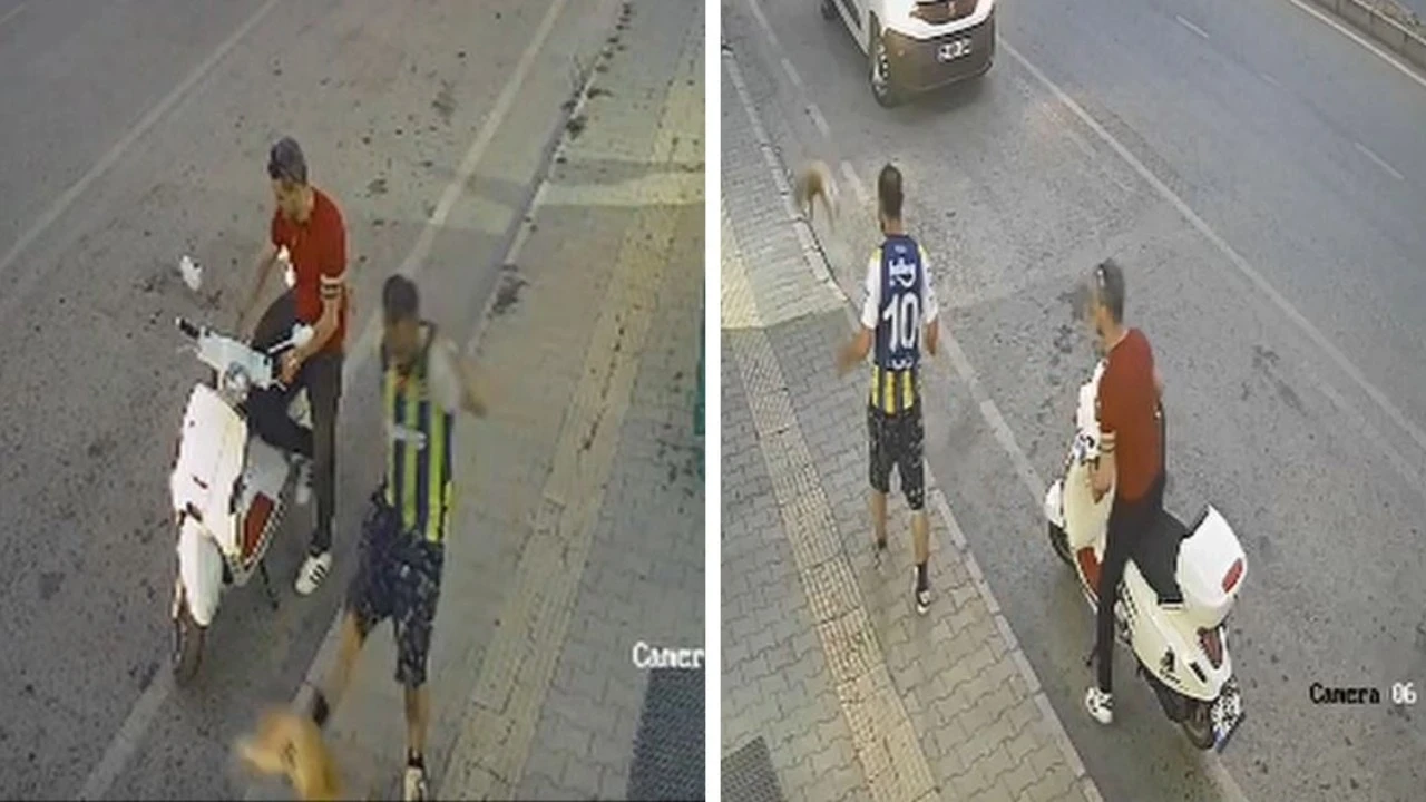Yoldan geçerken kediyi tekmelemişti: Yakalandı