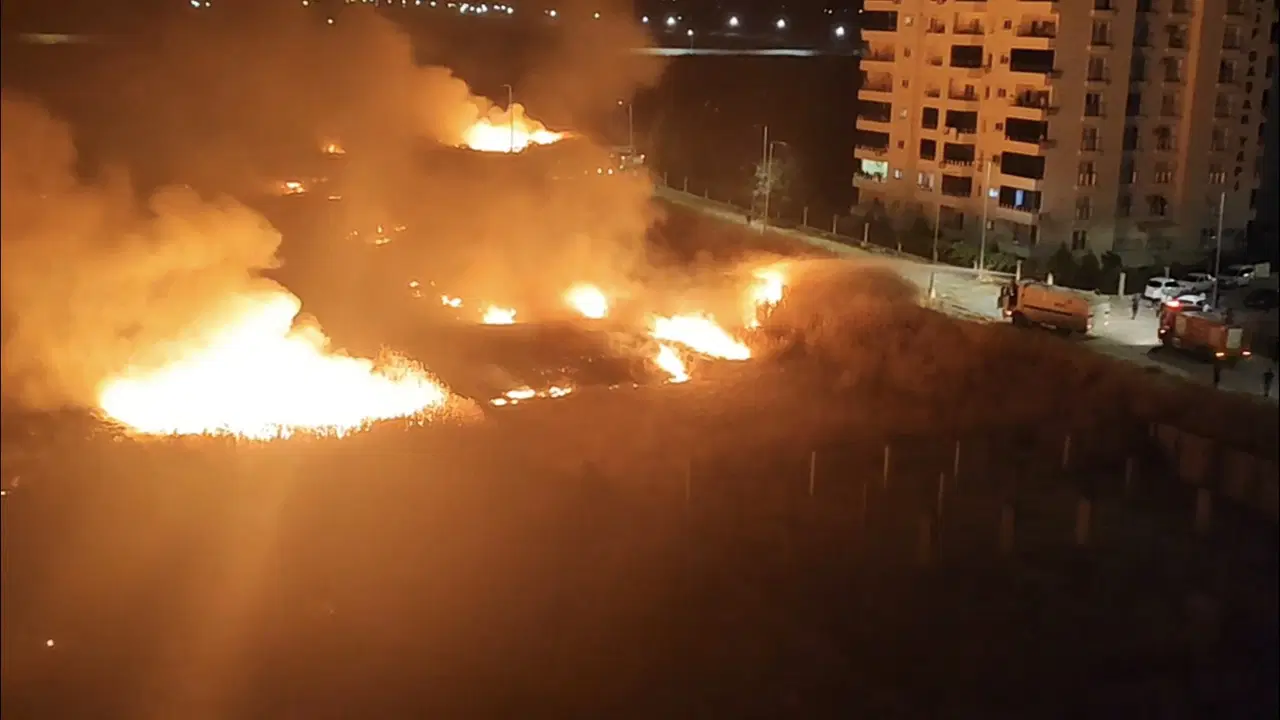 Nusaybin’de sınırdaki mayınlı arazide yangın