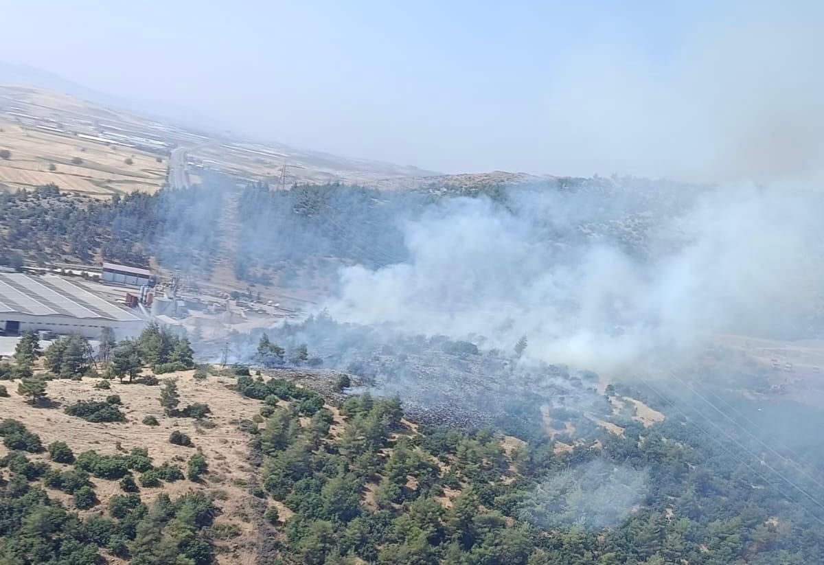 Kahramanmaraş'ta orman yangını kontrol altına alındı