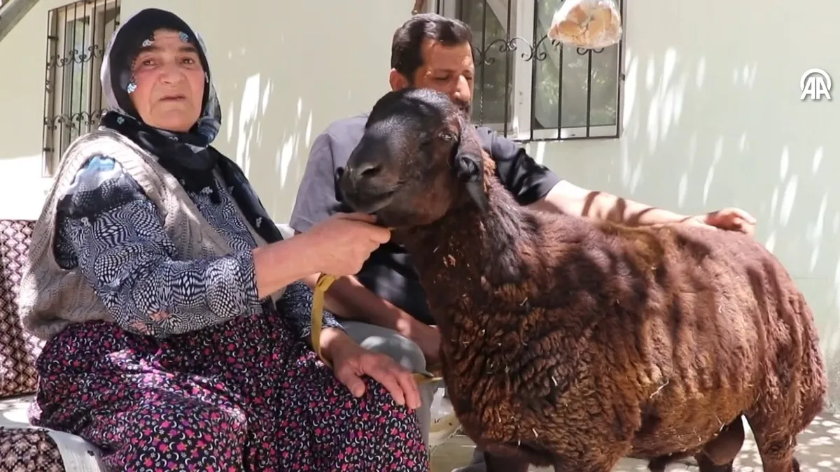 Kurban firarda! 20 günde 40 kilometre kaçtı, bulunduğu yer şaşkınlık yarattı