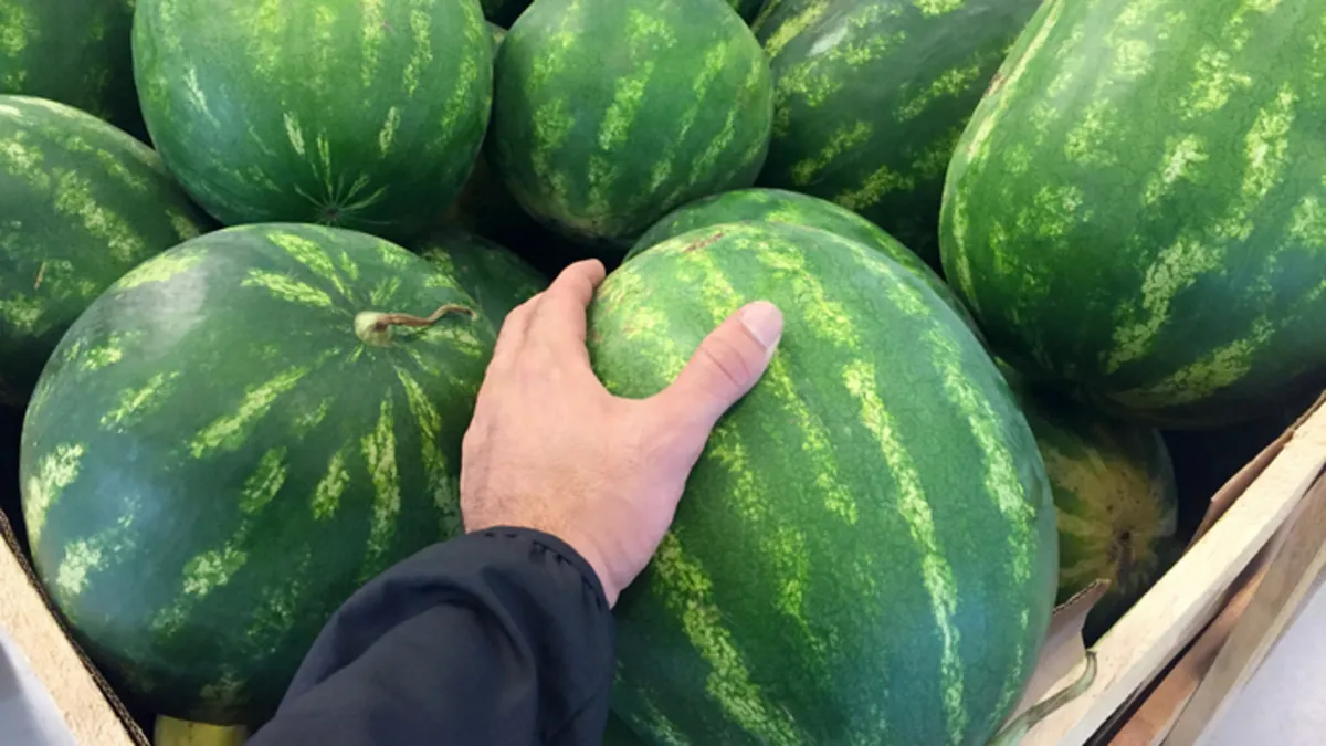 İçi kıpkırmızı ve bal gibi karpuz nasıl seçilir?
