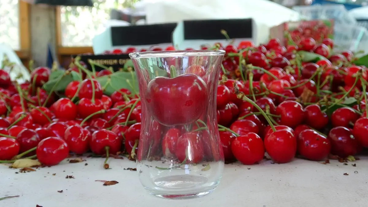 Çay bardağına sığmıyor: Kilosu 800 TL'ye kadar çıkıyor