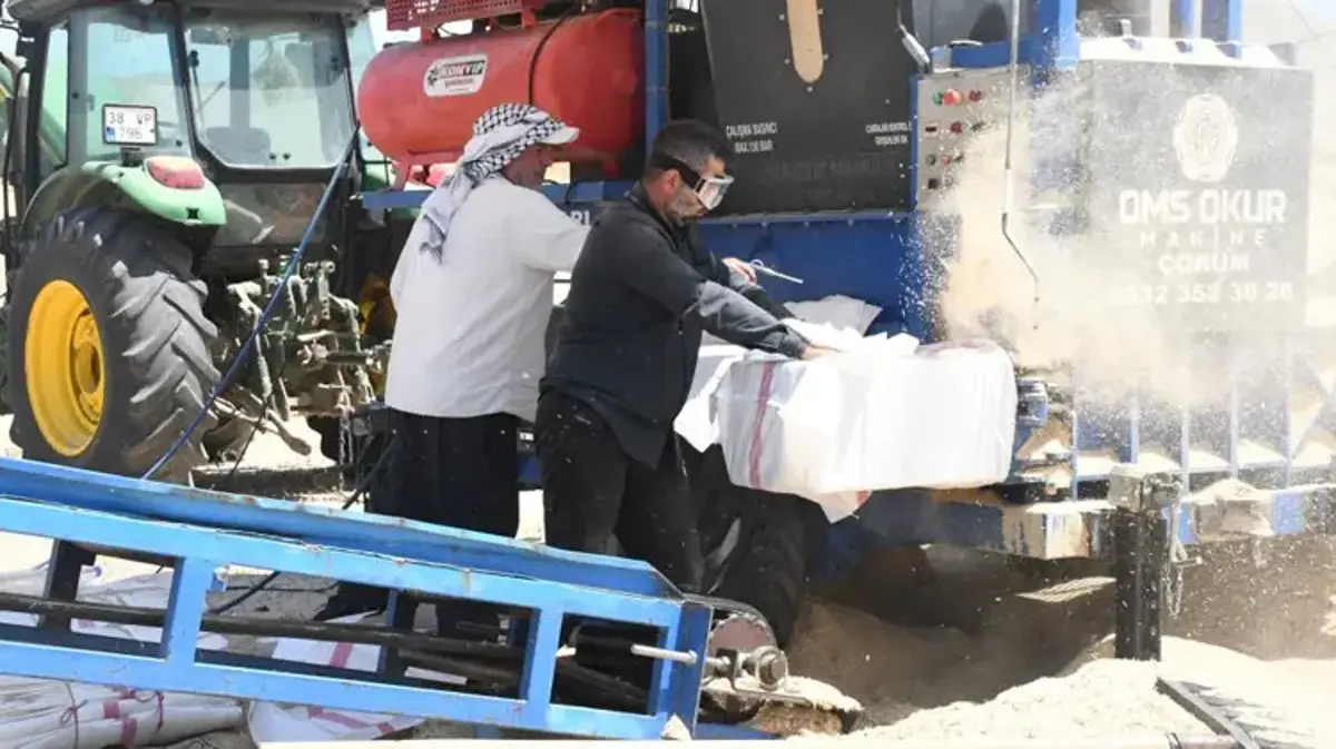 Tarlalarda bırakılanlar onlar için ekmek kapısı oldu! 6 ay çalışıp Türkiye'nin dört bir yanına satıyorlar