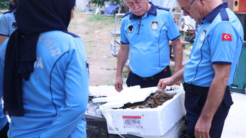 Antalya otobüs terminalinde koliler içinde bulundu