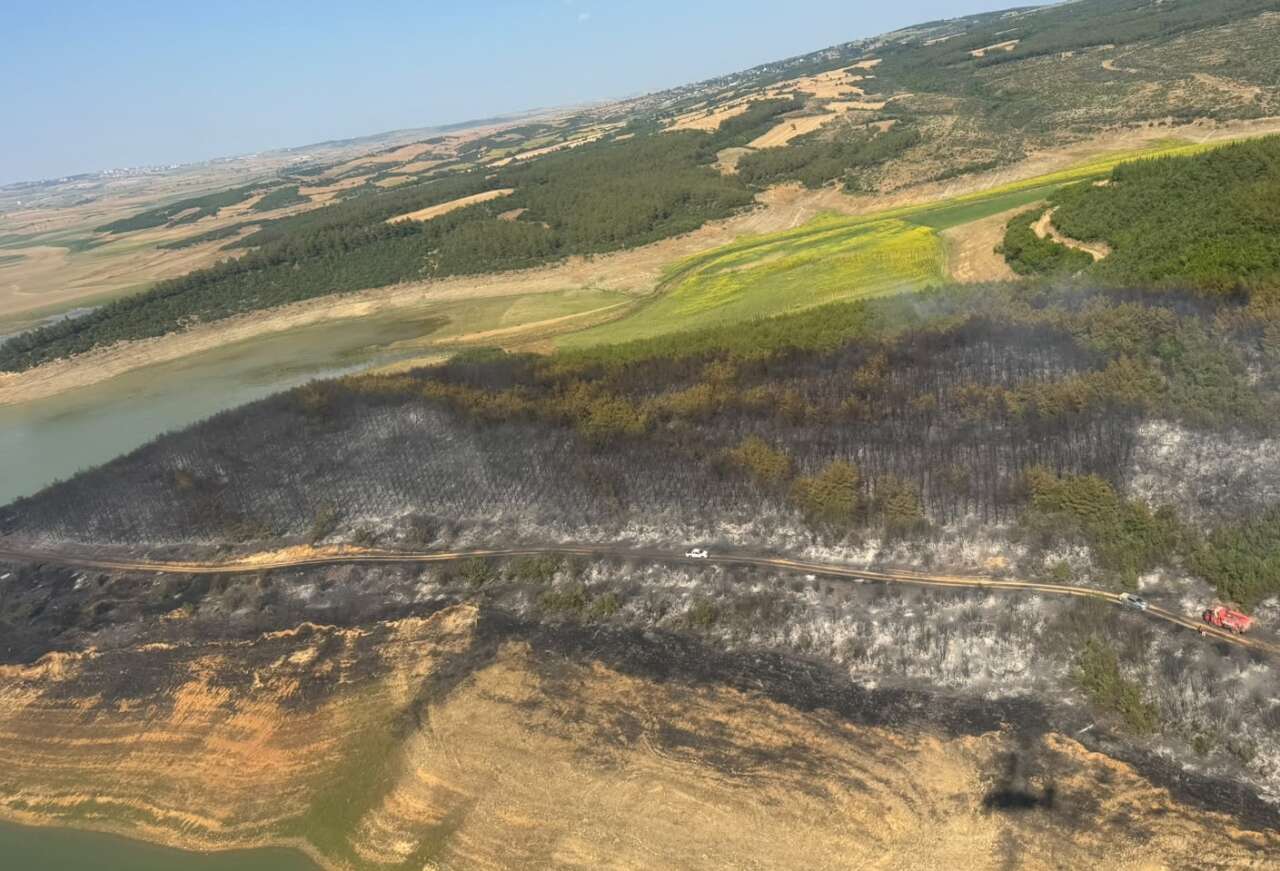 Tekirdağ'da çıkan orman yangını söndürüldü