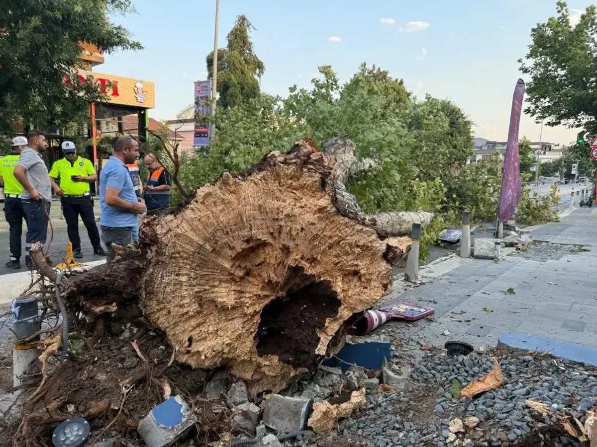 İstanbul’da kısa süreli etkili olan fırtına hasara yol açtı