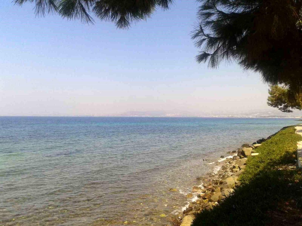 Kuşadası'nda deniz suyu kalitesi yüz güldürdü