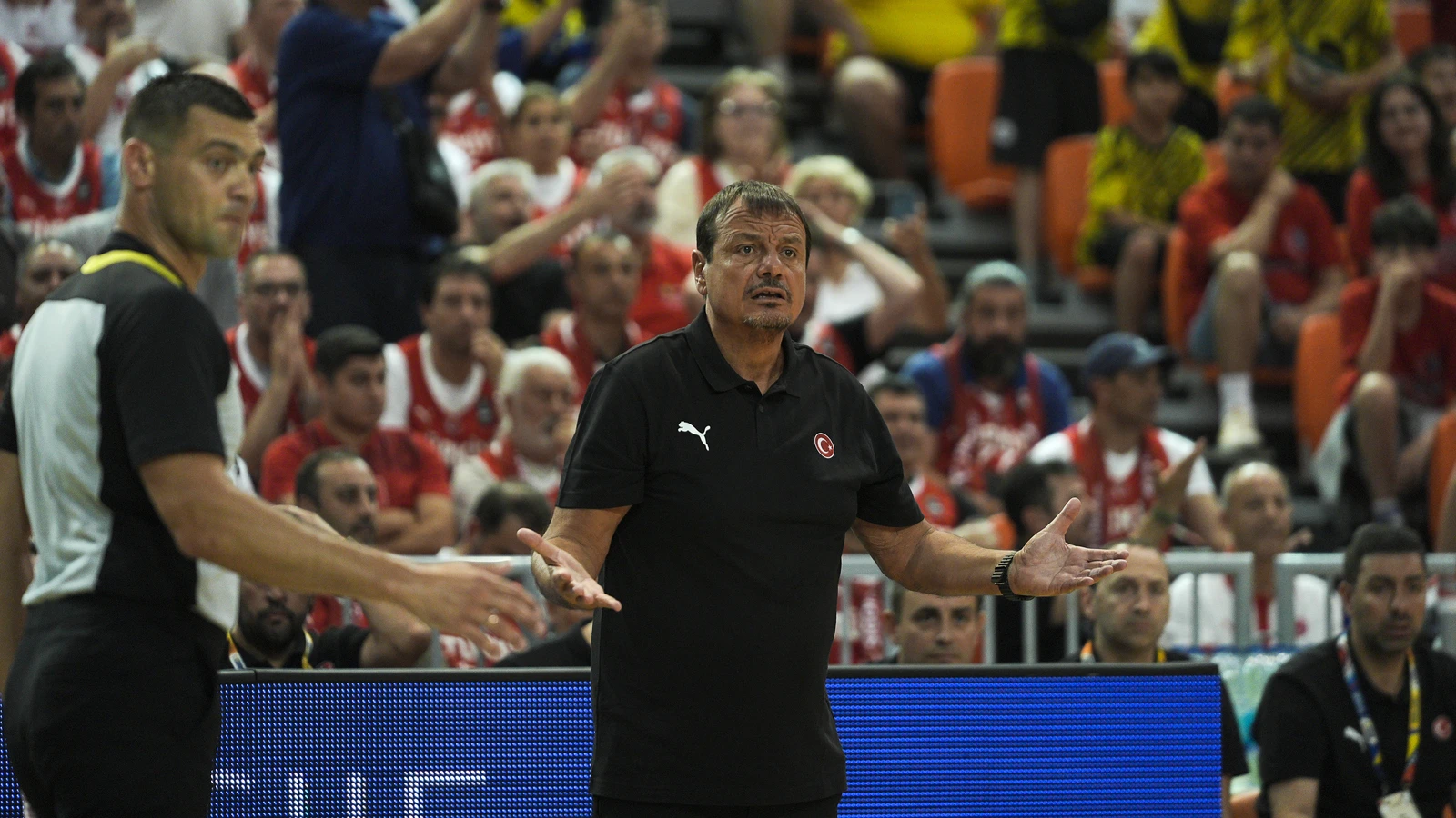 A Milli Erkek Basketbol Takımı Başantrenörü Ergin Ataman 'dalya' dedi