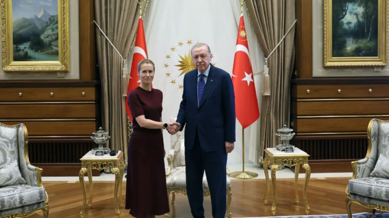 Cumhurbaşkanı Erdoğan, AB'nin üst düzey heyetini kabul etti... "Türkiye kilit ortak"