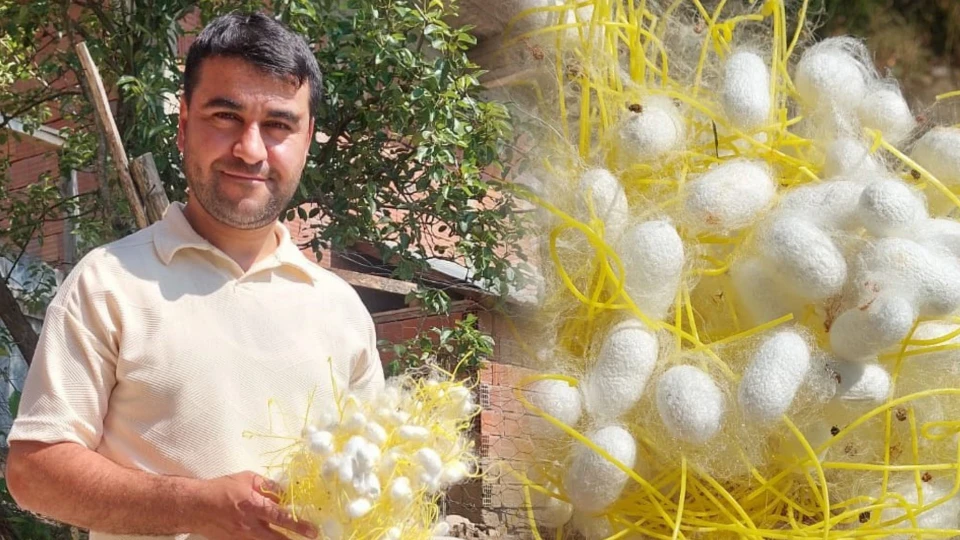 Ordu'da üretici ezber bozdu: Fındık yerine o işe yöneldi... Kazandığı parayı duyanlar şoke oldu