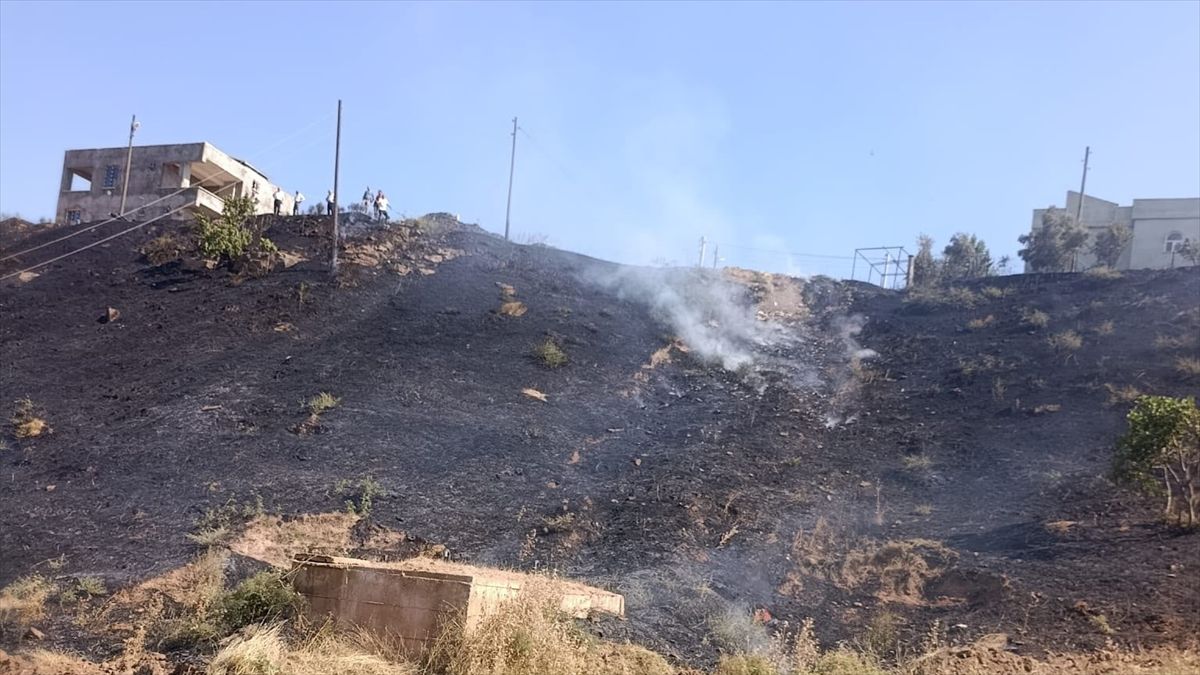 Siirt'te otluk alanda çıkan yangın söndürüldü