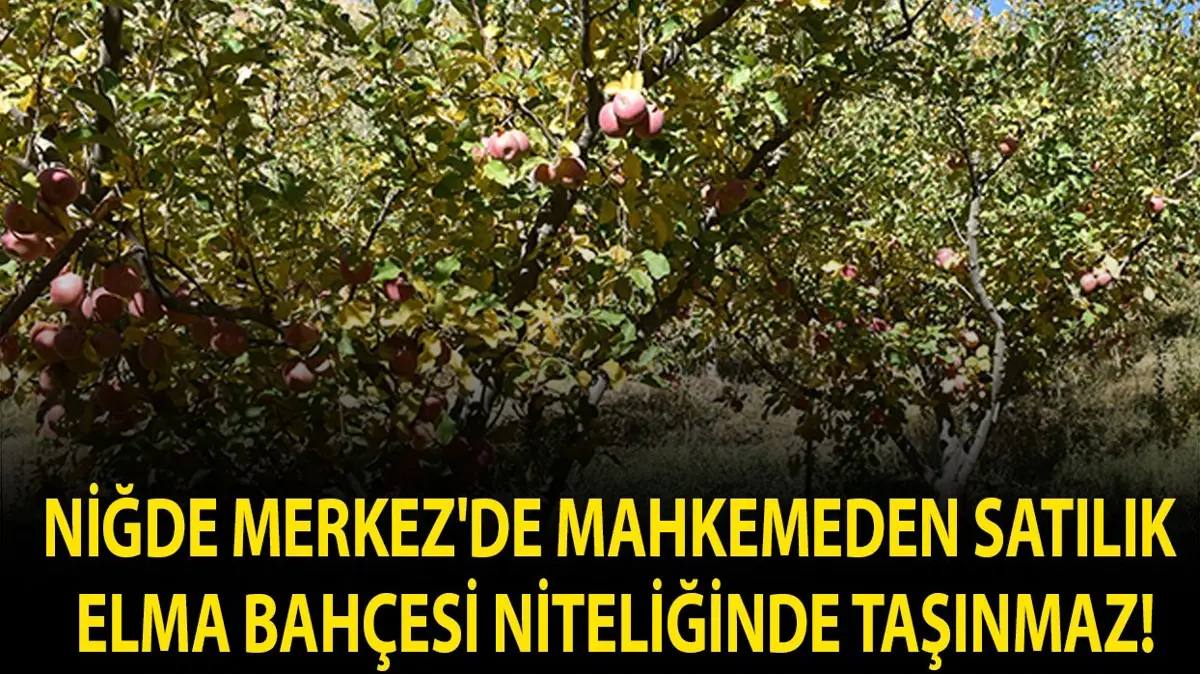 Niğde Merkez'de mahkemeden satılık elma bahçesi niteliğinde taşınmaz!