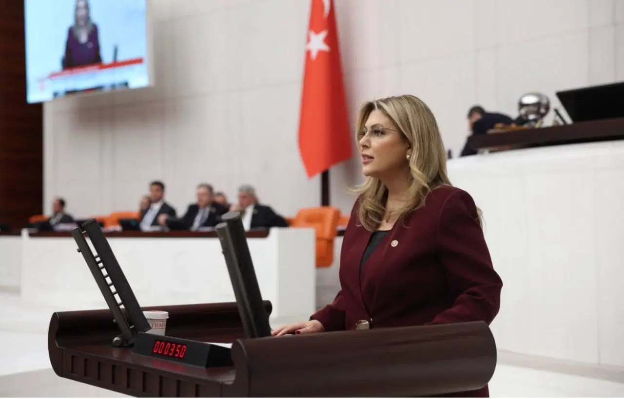 CHP'li Gezmiş, engelli yurttaşların sorunlarını Meclis gündemine taşıdı