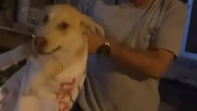 Çuvala koyulan köpeği, hayvansever kadın kurtardı