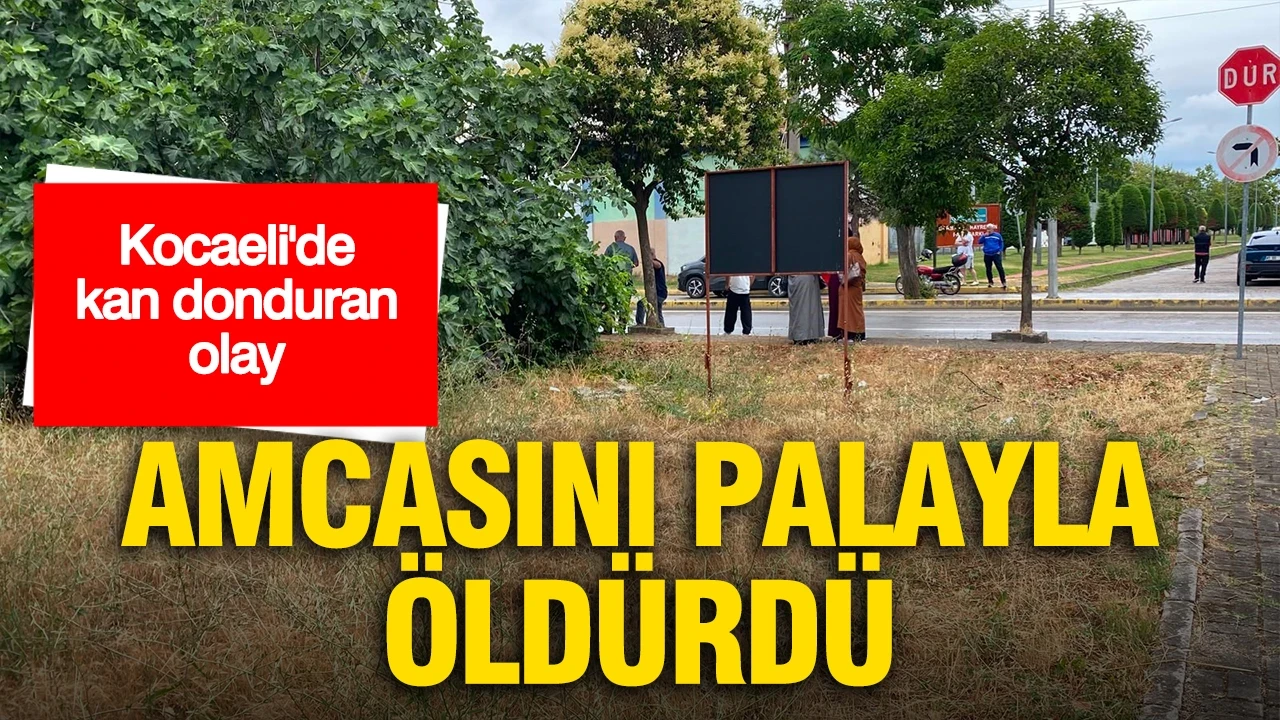 Kocaeli'de kan donduran olay: Amcasını palayla öldürdü