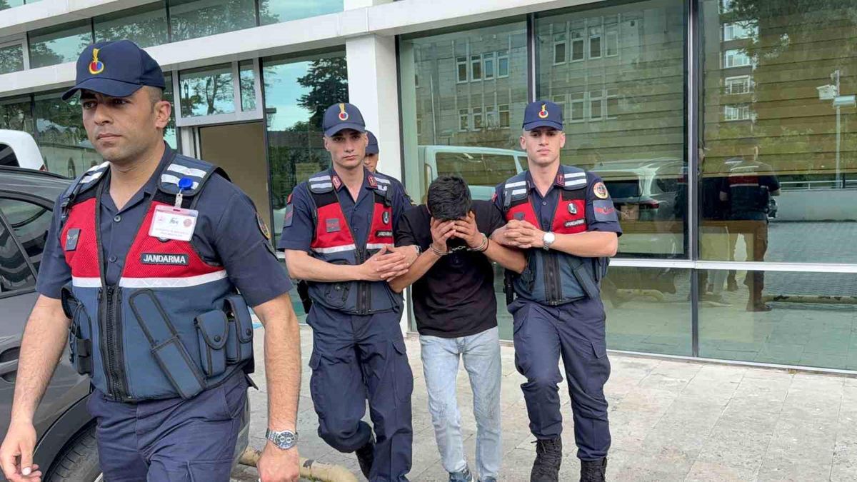 Televizyon hırsızlığı zanlısı, jandarma ekiplerince yakalandı