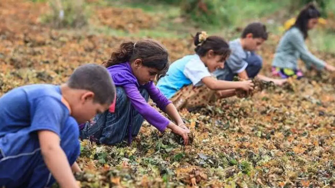 Yaz tatili ile ortaya çıkan gerçek: Her iki çocuktan biri tatil yapamıyor