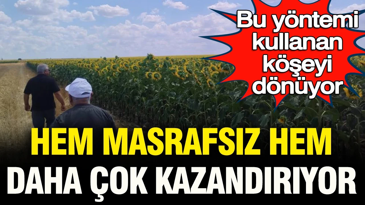 Hem masrafsız, hem daha çok kazandırıyor: Bu yöntem üreticinin yüzünü güldürüyor