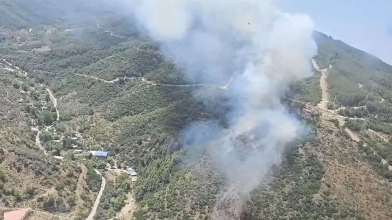 İzmir ve Kütahya'da çıkan yangınlara yoğun müdahale