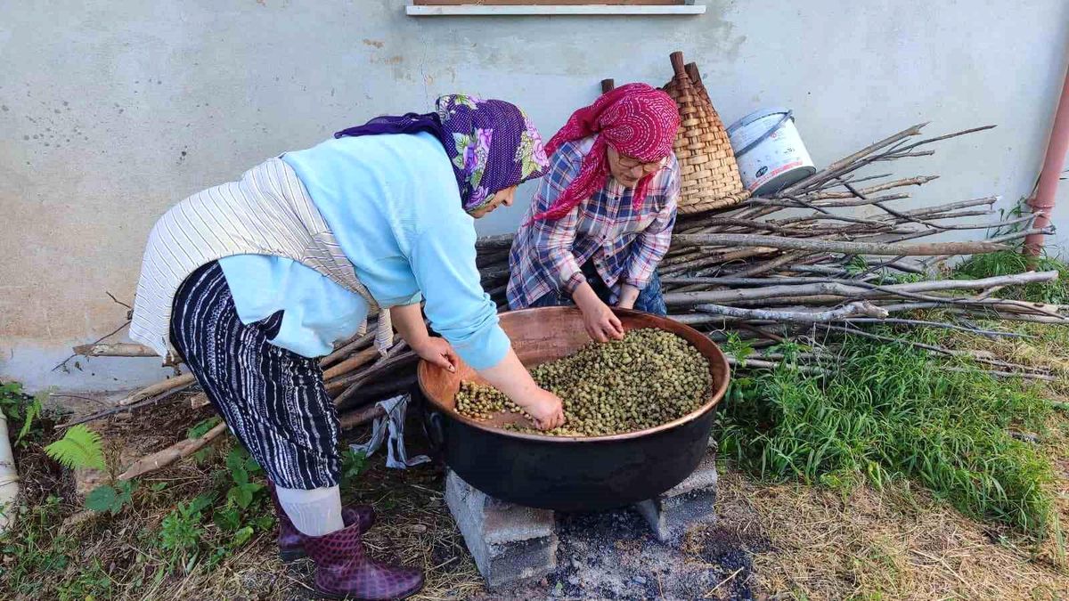 Karadeniz'de dut pekmezi mesaisi başladı: Kazanlar şifa için kaynıyor