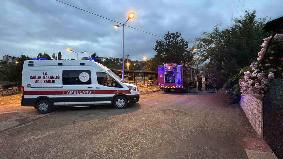 Ardiyede çıkan yangın evlere sıçramadan söndürüldü