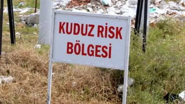Kuduz vakası tespit edildi: O mahalle karantinaya alındı