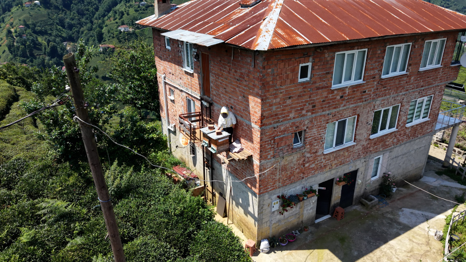 Karadeniz zekası ayıya karşı; kovanlara 'asansörlü' önlem