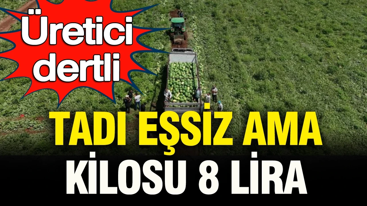Üretici dertli: Tadı eşsiz ama kilosu 8 lira