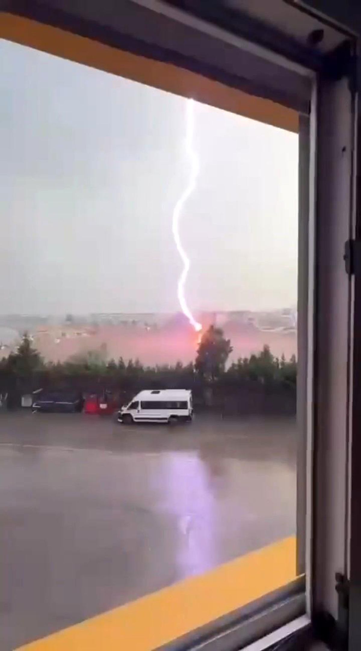Tekirdağ'da palmiye ağacına yıldırım düştü, alev alev yandı