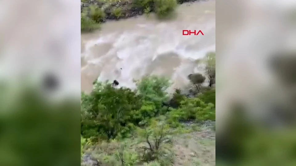 Şavşat’ta Feci Kaza: Araç Nehre Düştü, İki Kişi İçin Arama Başlatıldı