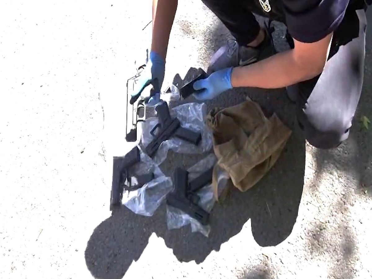 Niğde'de silah kaçakçılığı operasyonu: 7 ruhsatsız tabanca ele geçirildi