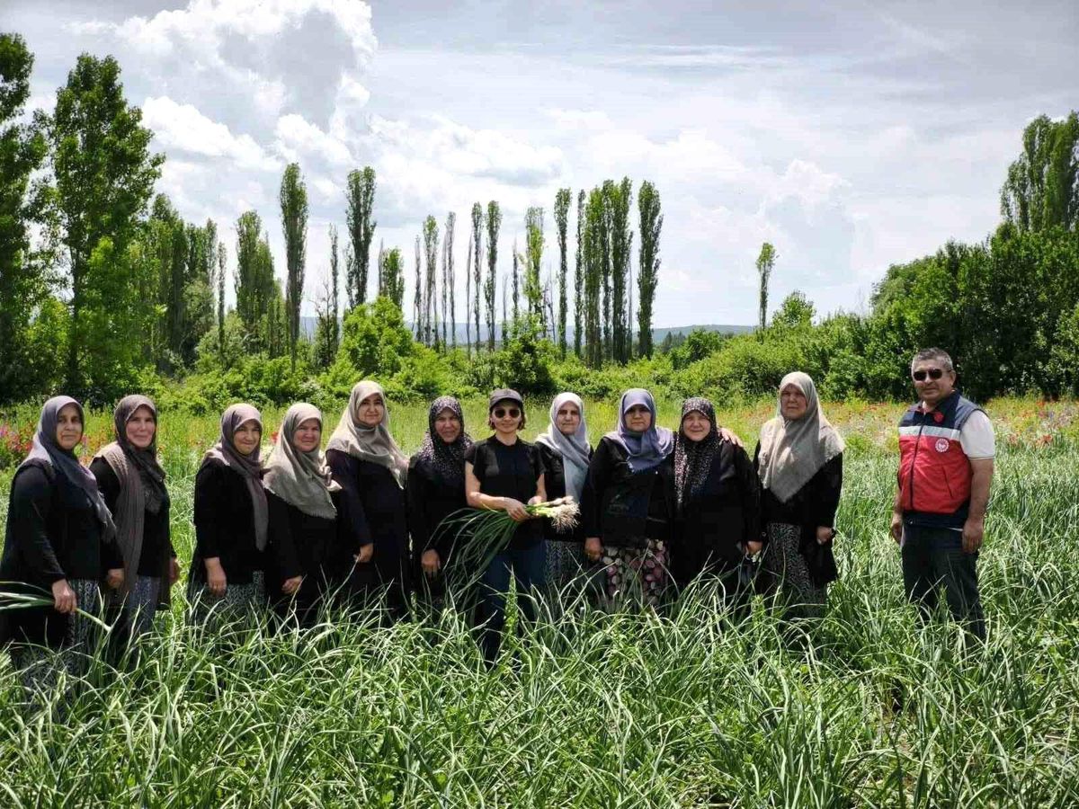 Domaniç Sarımsağı coğrafi işaret yolunda