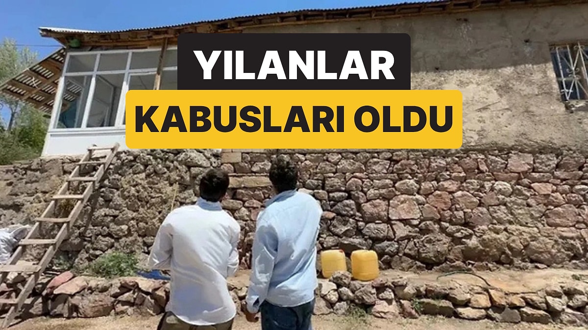 Yılanlar Evi İstila Etti: Aile Geceleri Uyuyamıyor