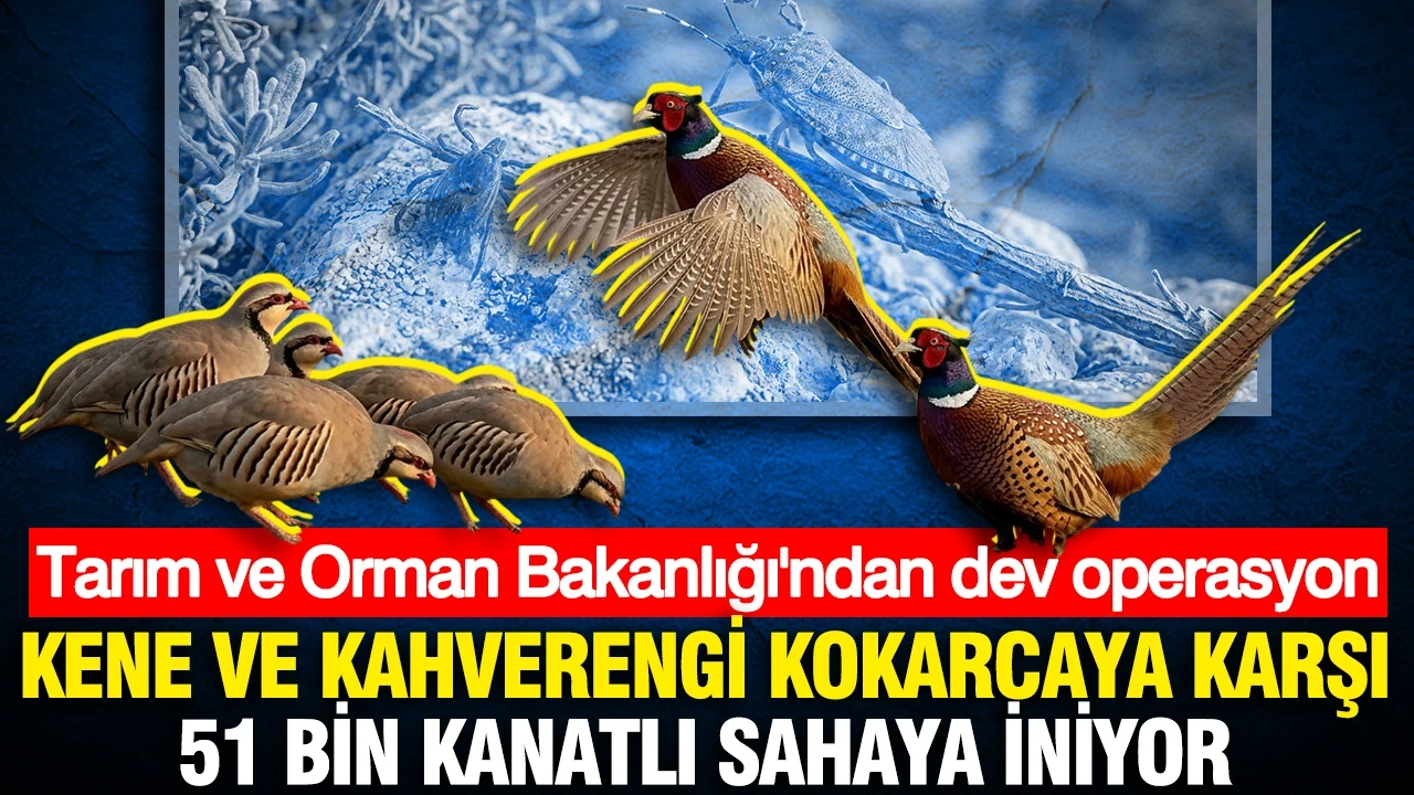 Tarım ve Orman Bakanlığı'ndan dev operasyon: Kene ve kahverengi kokarcaya karşı 51 bin kanatlı sahaya iniyor